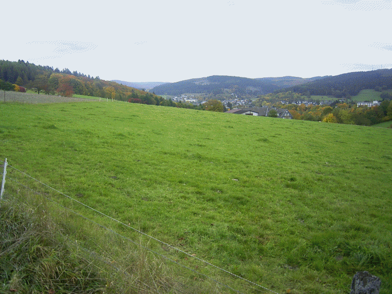 Bad Berleburg Herbst 2008